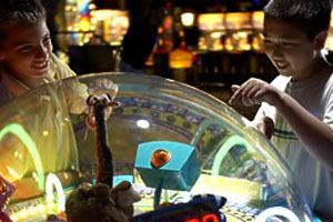 Northern Lights Arcade photo