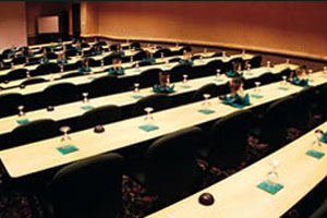 Meeting/Banquet Space photo