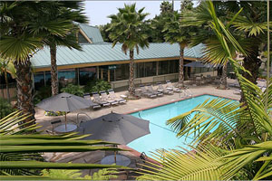 Swimming Pool photo