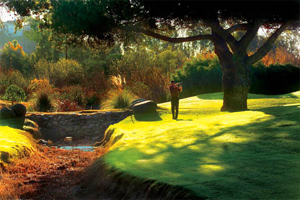 Golf photo