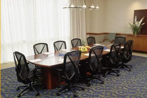 Meeting/Banquet Space photo