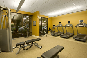 Hilton Fitness by Precor� photo