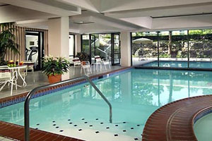 Swimming Pools photo