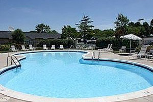 Swimming Pool photo
