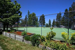 Tennis photo