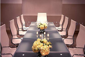 Meeting/Banquet Space photo