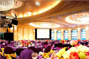 Meeting/Banquet Space photo