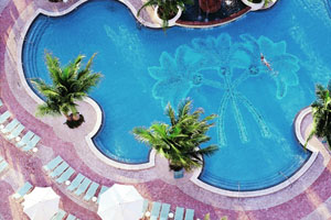 Swimming Pool photo