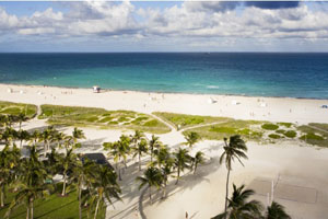 Beach Services photo