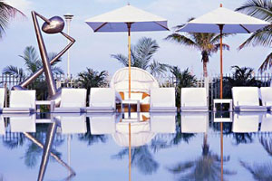 Swimming Pool photo