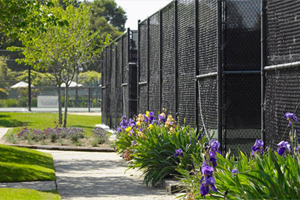 Tennis photo