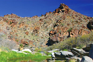 Palm Springs Recreation photo