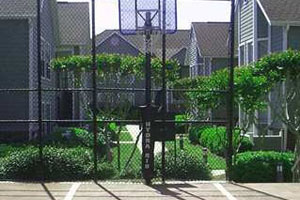 Sport Court photo