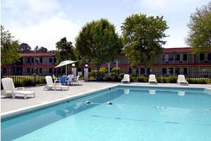 Swimming Pool photo
