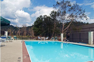 Swimming Pool photo