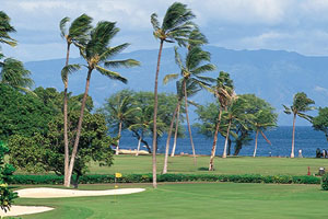 Golf photo