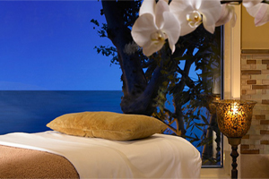 Aquaterra Spa photo