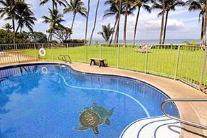 Swimming Pool photo