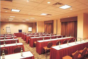 Meeting/Banquet Space photo