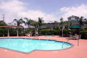 Swimming Pool photo
