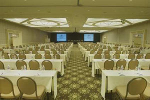 Meeting/Banquet Space photo