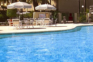 Swimming Pool photo