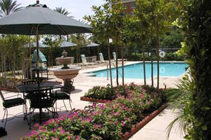 Swimming Pool photo