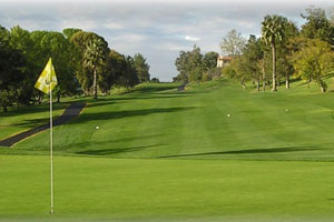 Golf photo