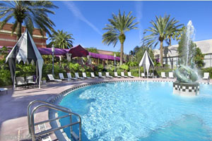 Swimming Pool photo