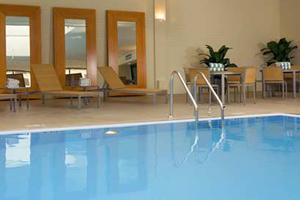Indoor-Outdoor Pool photo