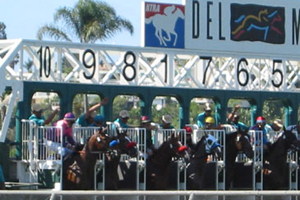 Del Mar Race Track and Fairgrounds photo