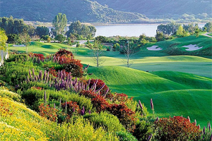 Golf Course photo