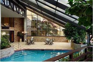 Swimming Pool photo