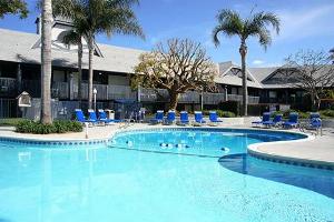 Outdoor Heated Pool & Jacuzzi photo