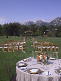 Weddings photo